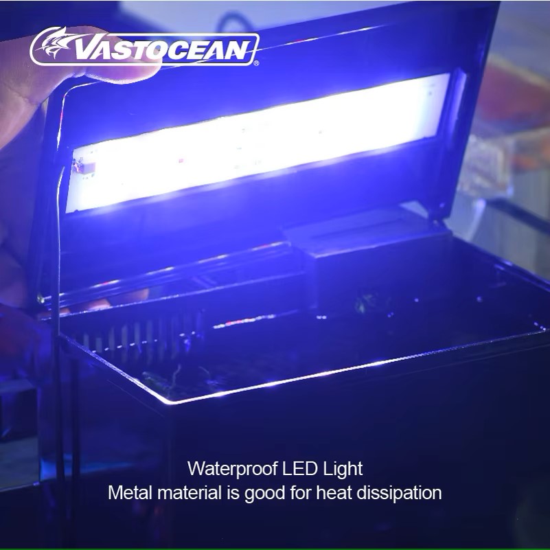 VASTOCEAN Fish Tank External F - đánh giá và giá Protein Skimmer Hang On
