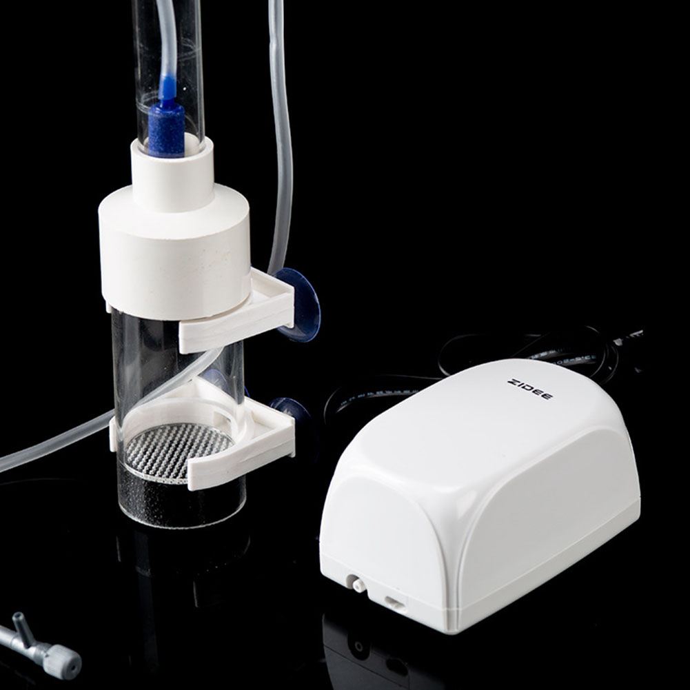 40mm Incubator Fish Hatchery E - đánh giá và giá Marine Aquarium Kit