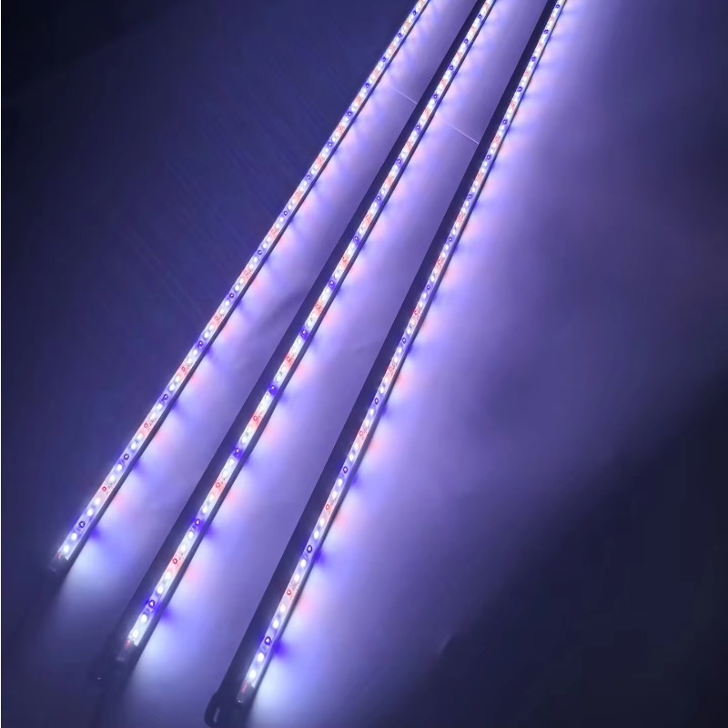 IP68 Waterproof LED Aquarium L - đánh giá và giá Aquarium Blue Marine Reef