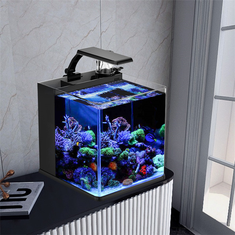 Latest Model Clear Glass Mini  - đánh giá và giá Aquarium Marine Salt