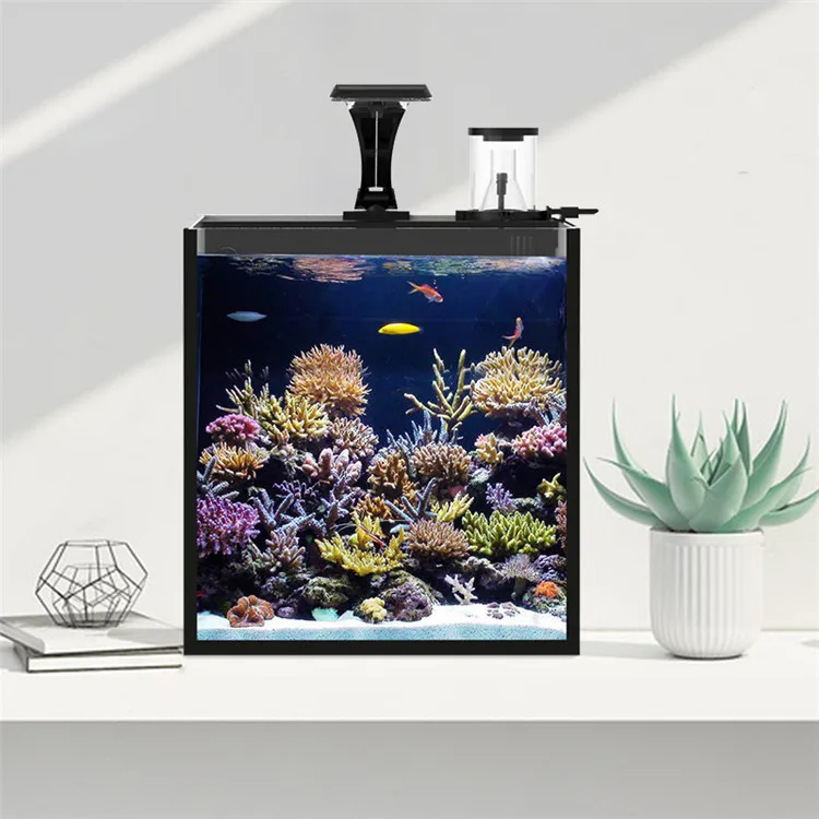 Latest Model Clear Glass Mini  - đánh giá và giá Aquarium Marine Salt