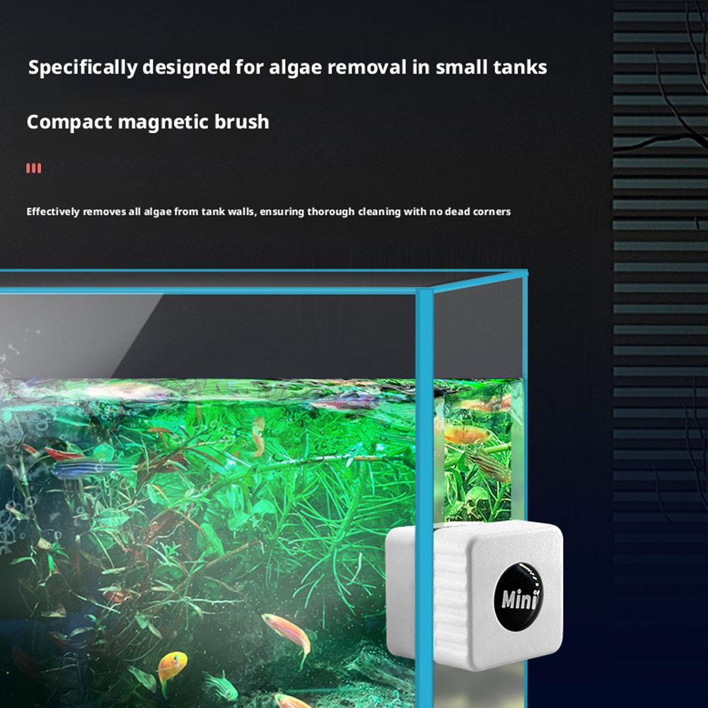 Magnetic Aquarium Glass Cleane - đánh giá và giá Marine Aquarium Glass Scraper