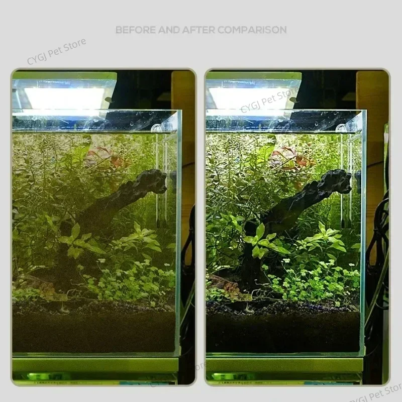 Fish Tank Cleaning Tool Flat S - đánh giá và giá Marine Aquarium Glass Scraper