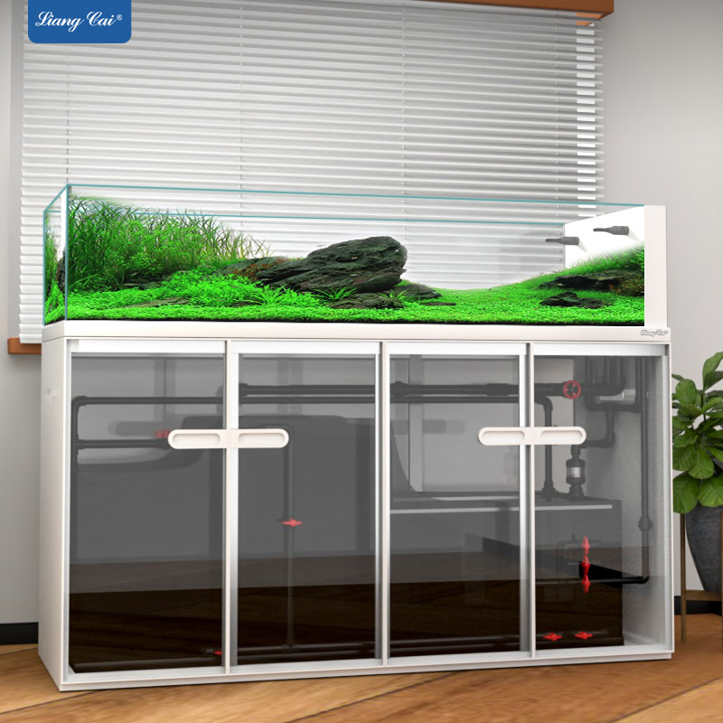 Large Modern Style Glass Fish  - đánh giá và giá Aquarium Marine Fish For Sale
