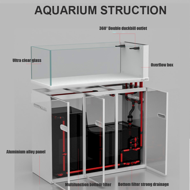 Large Modern Style Glass Fish  - đánh giá và giá Aquarium Marine Fish For Sale
