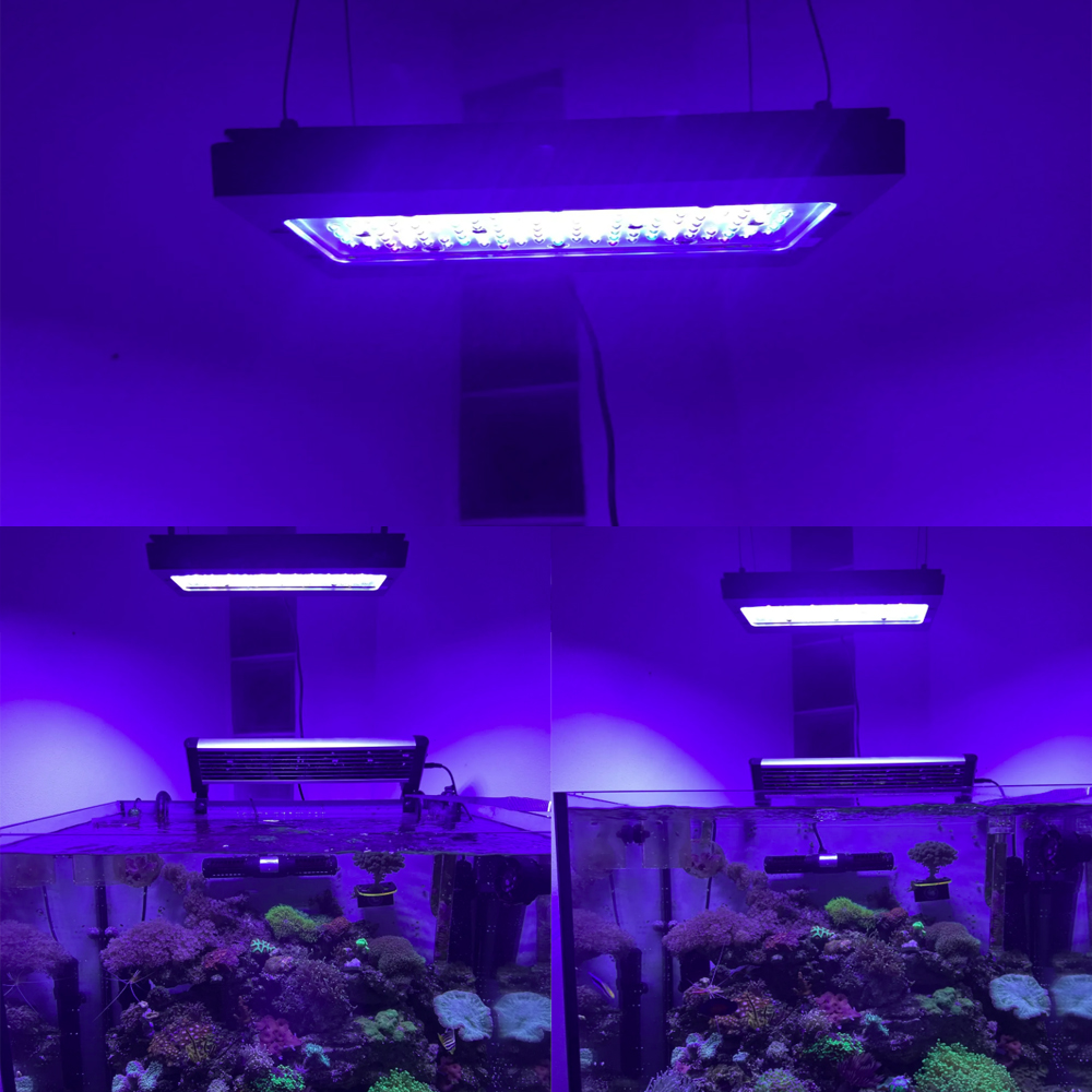 A8SE pro II MAX Blue 240W Mari - đánh giá và giá Aquarium Blue Marine Reef