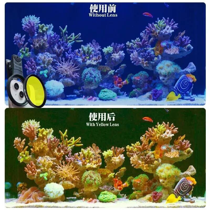 Aquarium Coral lenses 52mm Fis - đánh giá và giá Aquarium Marine Salt