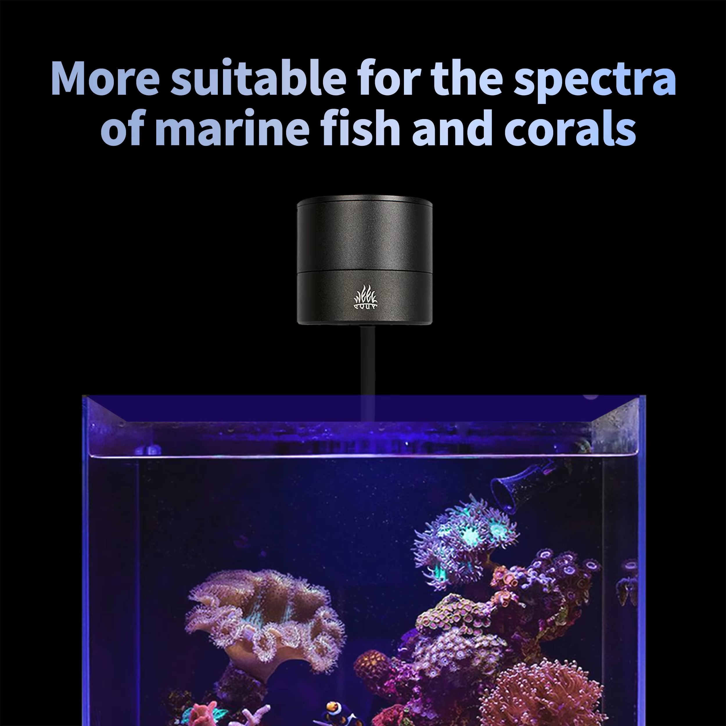 WEEK AQUA Aquarium Light Manuf - đánh giá và giá Aquarium Blue Marine Reef