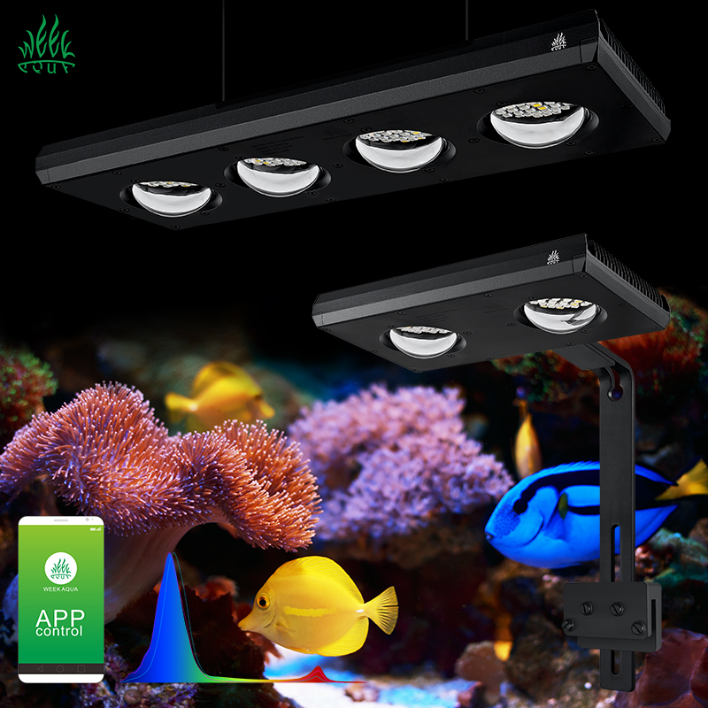 ZXY Hot Sale WEEKAQUA Z250 Z40 - đánh giá và giá Aquarium Blue Marine Reef