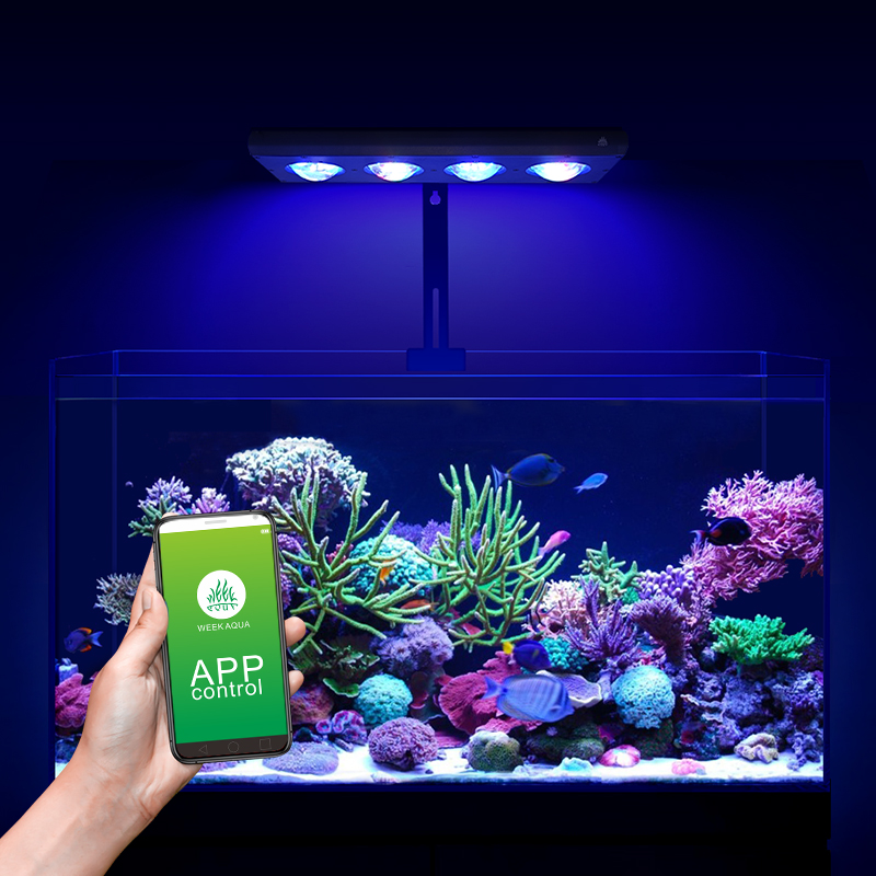 ZXY Hot Sale WEEKAQUA Z250 Z40 - đánh giá và giá Aquarium Blue Marine Reef