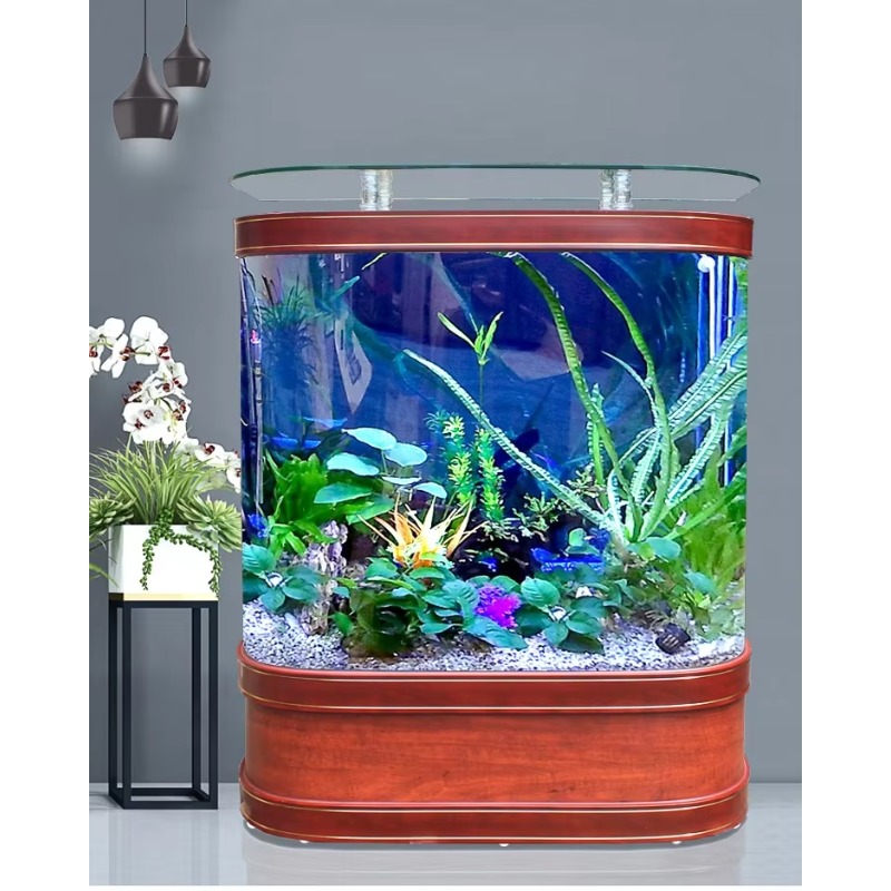 Marine Large 200 Gallon Fish A - đánh giá và giá Aquarium Marine Fish For Sale