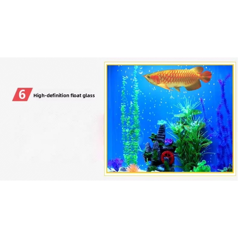 Marine Large 200 Gallon Fish A - đánh giá và giá Aquarium Marine Fish For Sale