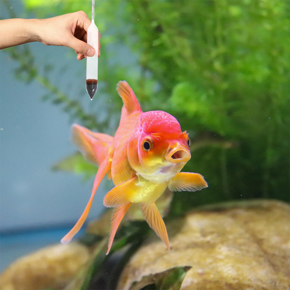 2Pcs Aquarium Salinity Hydrome - đánh giá và giá Marine Aquarium Hydrometer