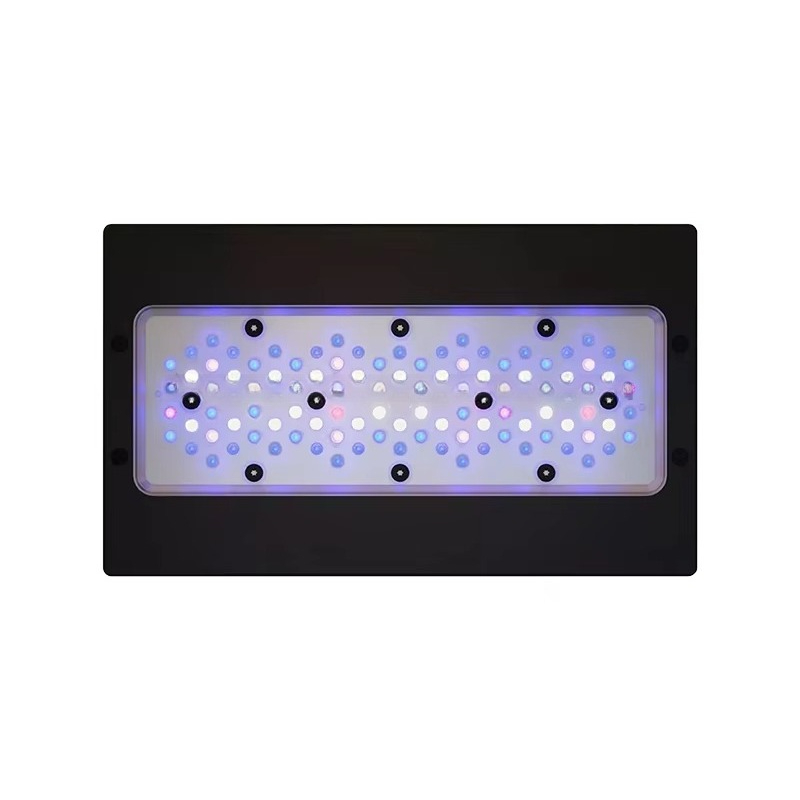 A8 Se II Max and Blue 240W LED - đánh giá và giá Aquarium Blue Marine Reef