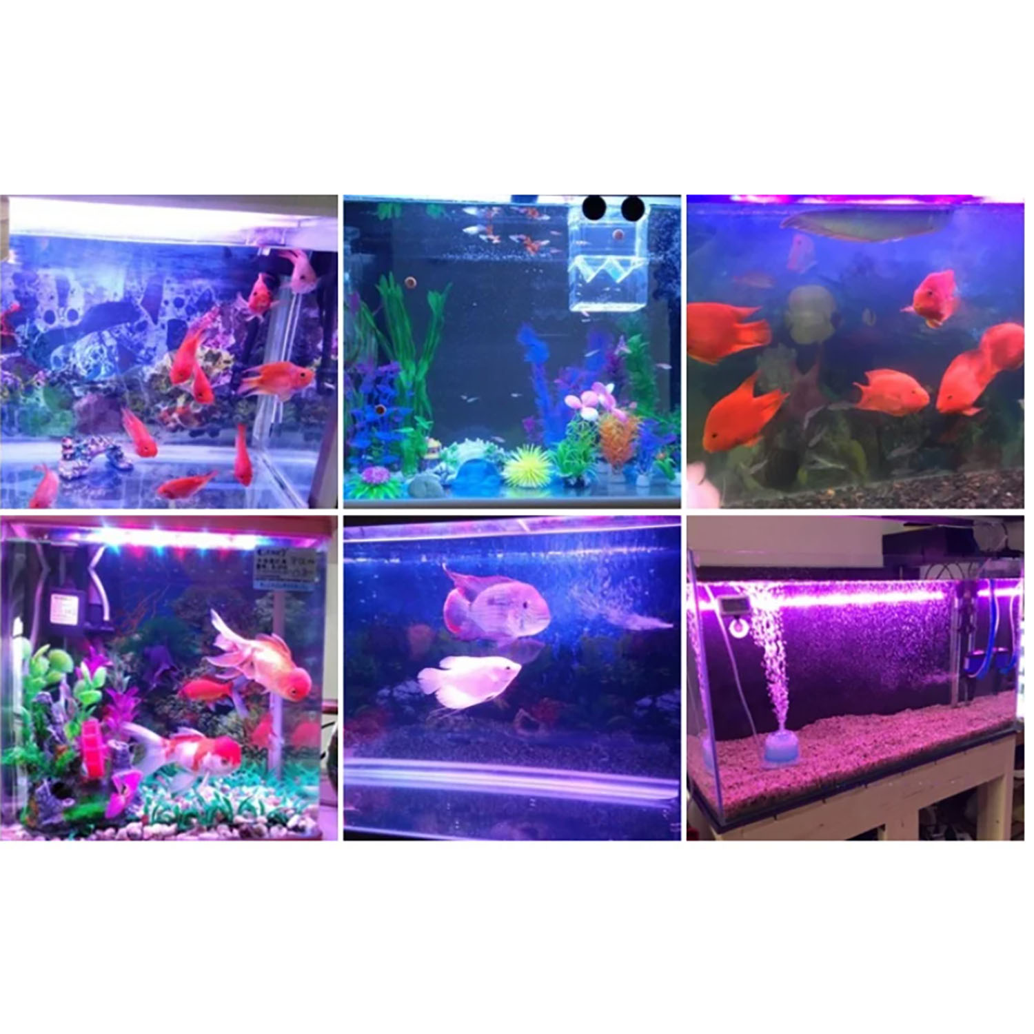 50W 60W 70W 100W RGB 26-28V Hi - đánh giá và giá Marine Aquarium Uv