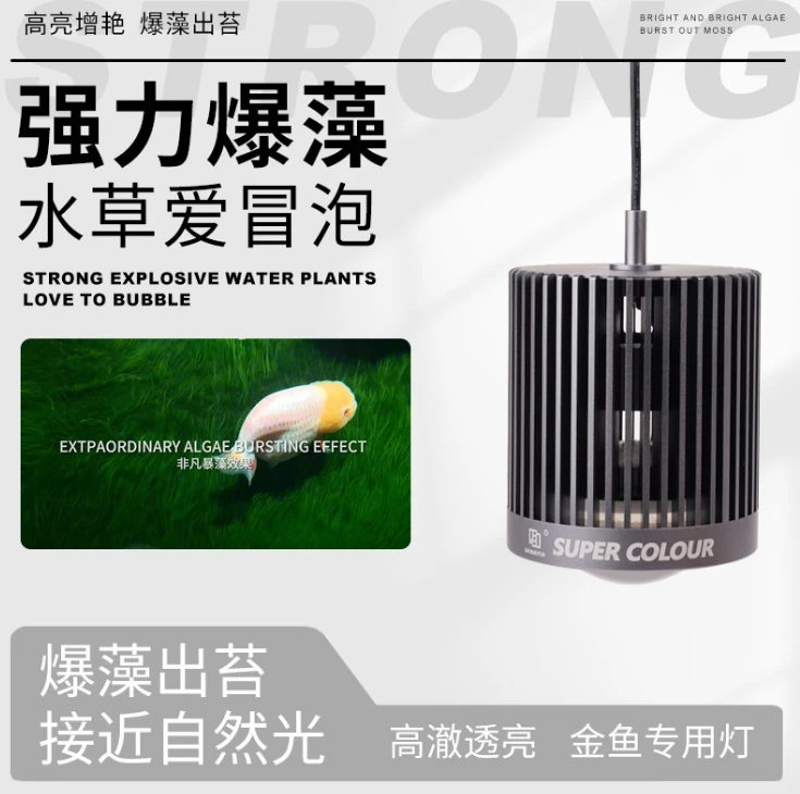 MAYIN LED Super Color 3D Hot S - đánh giá và giá Aquarium Marine Fish For Sale