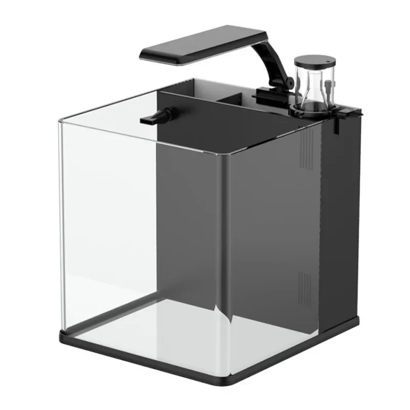 Hot sales Ultra Clear Glass Mi - đánh giá và giá Aquarium Marine Fish For Sale