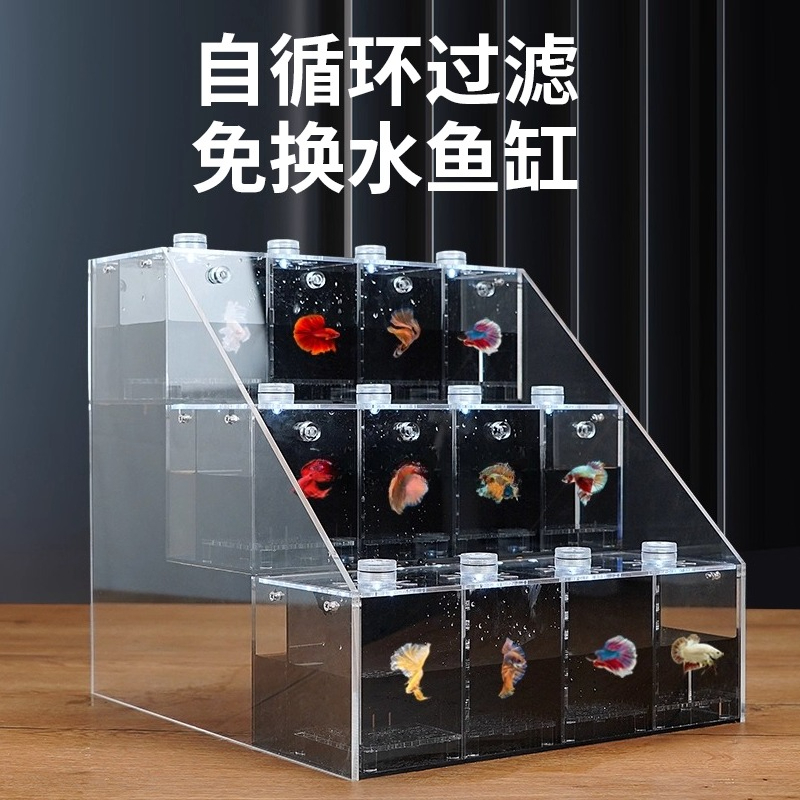 Transparent Douyu tank desktop - đánh giá và giá Aquarium Marine Salt