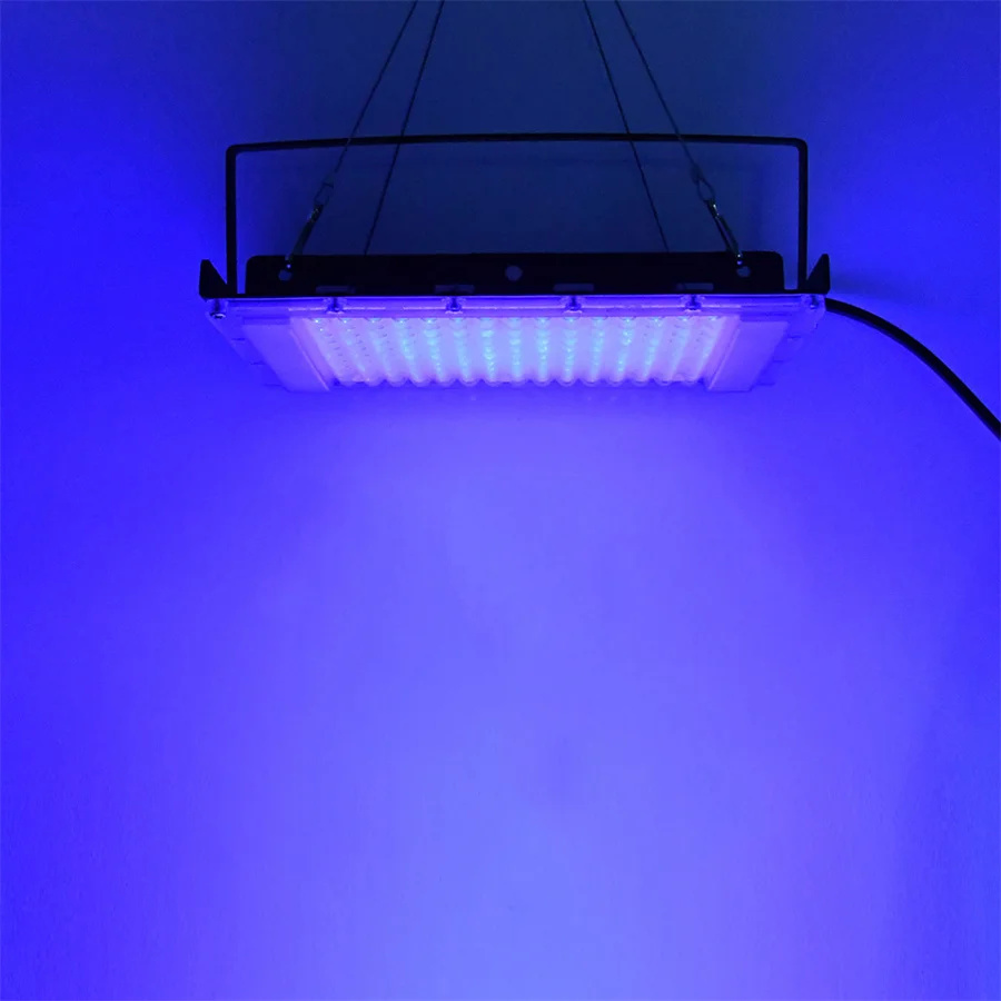 300W UV 395nm Black Light Ultr - đánh giá và giá Marine Aquarium Uv