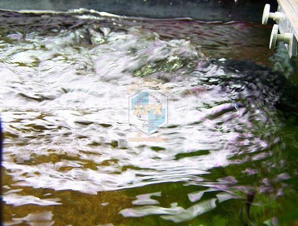 sunsun Jvp-200 newest waver ma - đánh giá và giá Aquarium Marine Salt