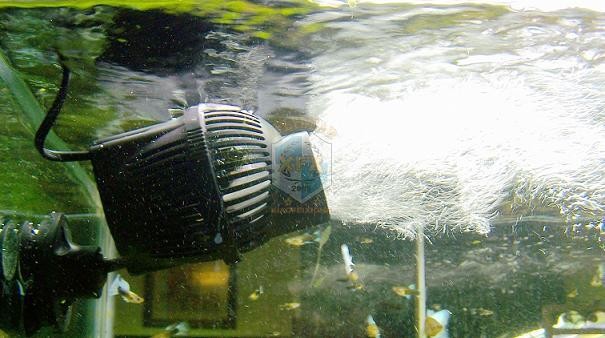 sunsun Jvp-200 newest waver ma - đánh giá và giá Aquarium Marine Salt