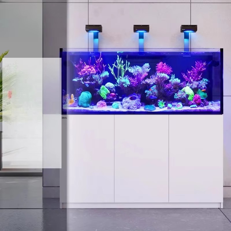 aquarium accessories High Qual - đánh giá và giá Aquarium Marine Setup