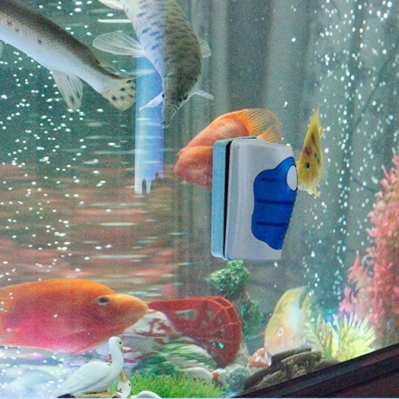 Fish Tank Glass Scraper Cleane - đánh giá và giá Marine Aquarium Glass Scraper