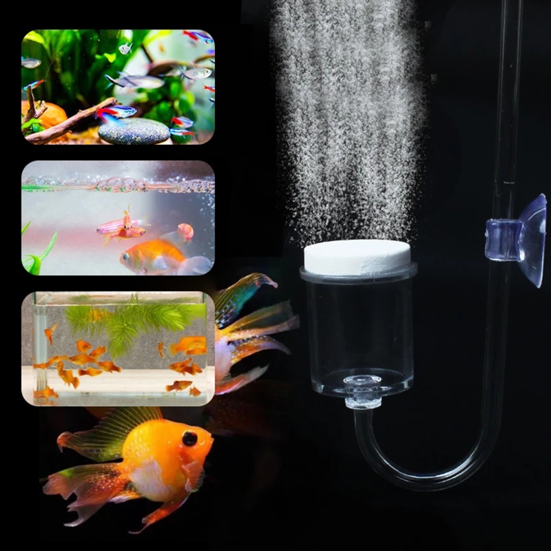 4pcs Set DIY CO2 Diffuser For  - đánh giá và giá Marine Aquarium Kit