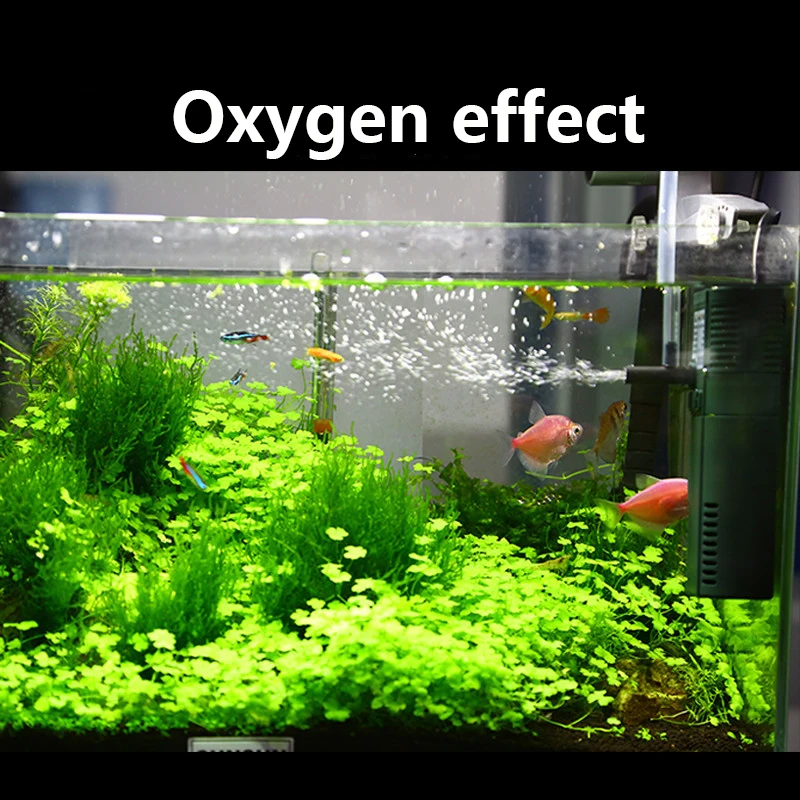 SUNSUN Nano Mini Xây Dựng Nội  - đánh giá và giá Marine Aquarium Kit
