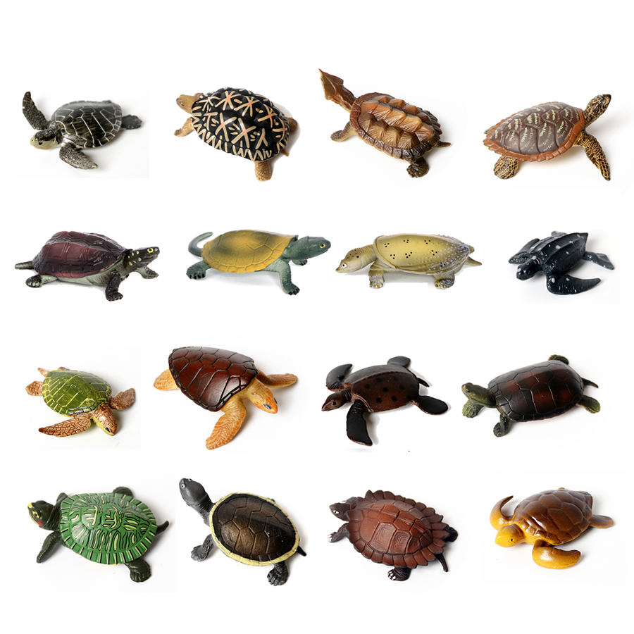 Thực Tế Bức Tiểu Họa Sinh Vật  - đánh giá và giá Aquarium Marine