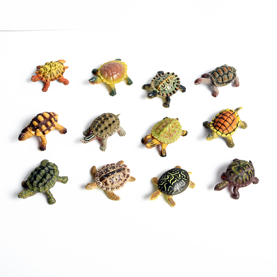 Thực Tế Bức Tiểu Họa Sinh Vật  - đánh giá và giá Aquarium Marine