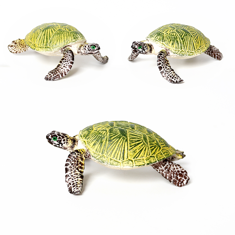 Thực Tế Bức Tiểu Họa Sinh Vật  - đánh giá và giá Aquarium Marine